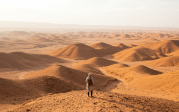 Discover the Agafay Desert